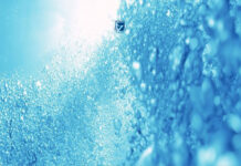 Thông báo về việc tổ chức Lớp học bơi miễn phí cho người dân thành phố Đợt 2 năm 2024